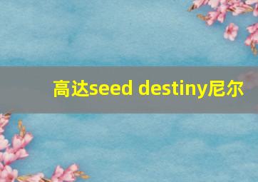 高达seed destiny尼尔